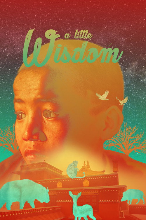 Movie poster for A Little Wisdom (2017)
