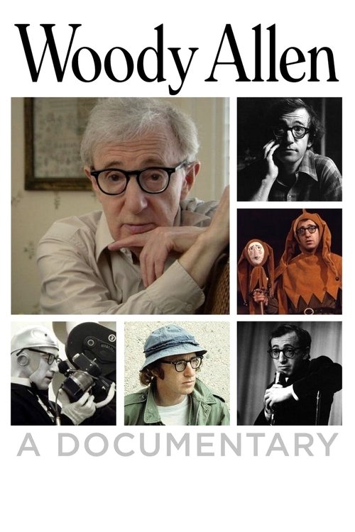 Movie poster for Woody Allen: A Documentary (2011)