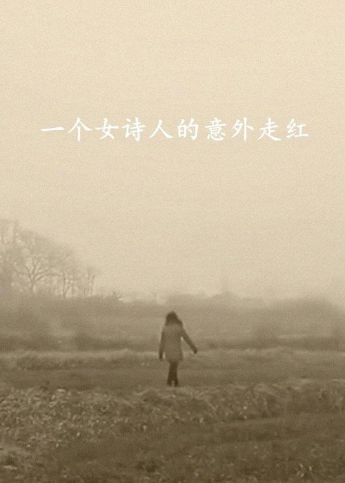Movie poster for 一个女诗人的意外走红 (2015)
