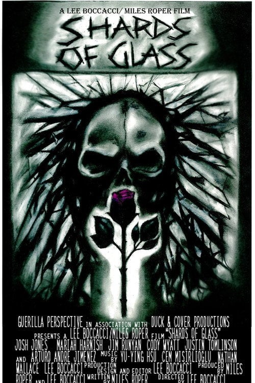 Movie poster for Shards of Glass (2009)