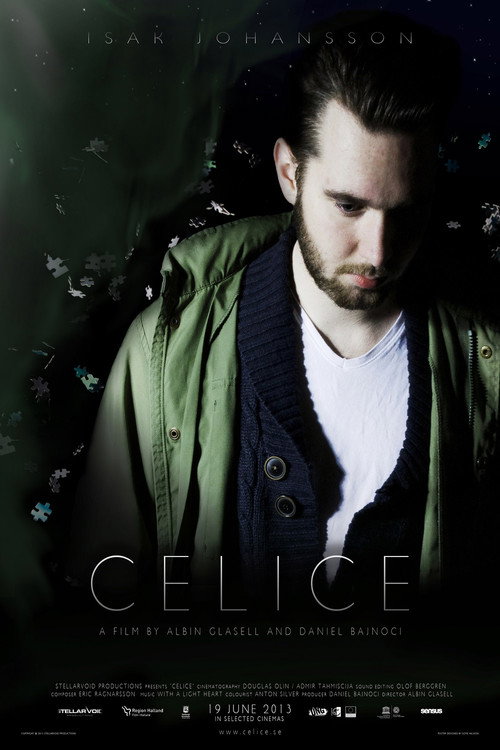 Movie poster for Celice