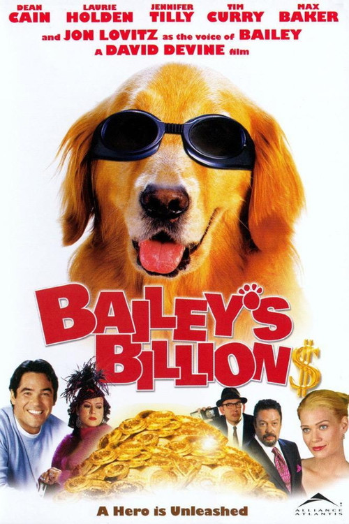 Movie poster for Bailey's Billion$ (2005)