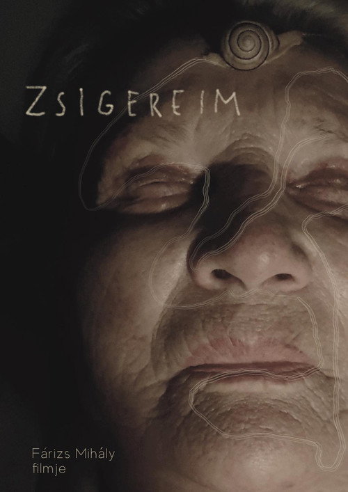 Movie poster for Zsigereim (2024)