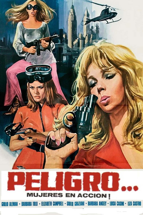 Movie poster for Danger...! Women in Action (1969)