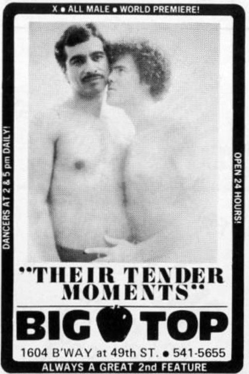 Movie poster for Their Tender Moments (1978)