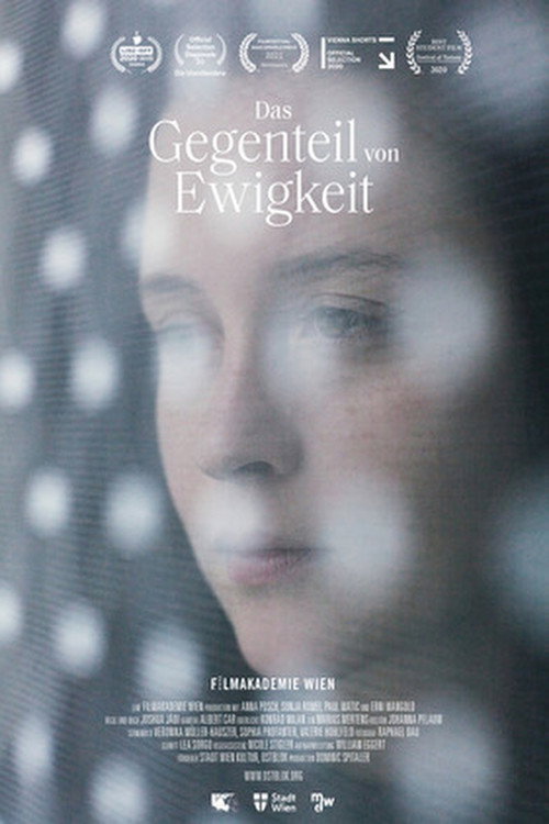 Movie poster for The Opposite of Eternity (2021)