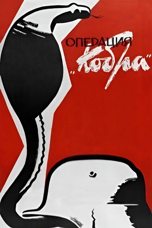 Movie poster for Operation Cobra (1960)
