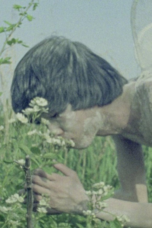 Movie poster for Memoir (1977)