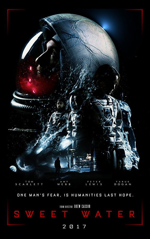 Movie poster for Sweet Water (2016)