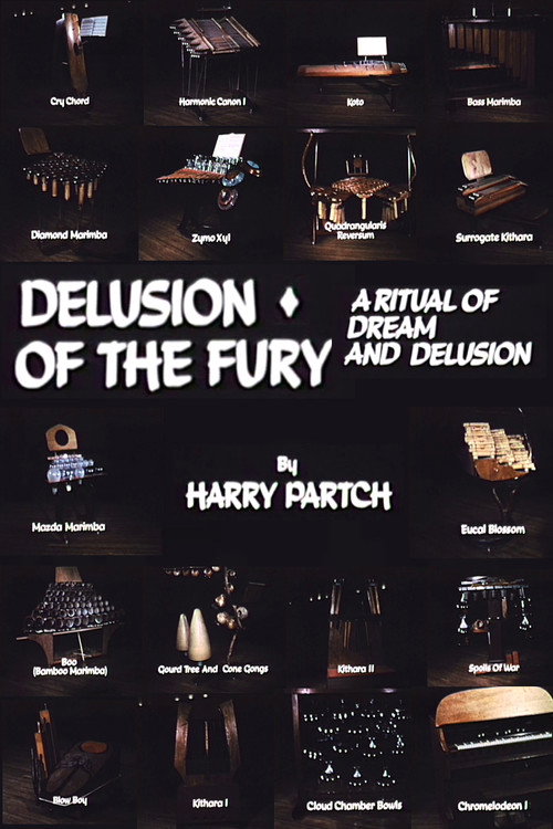 Movie poster for Delusion of the Fury: A Ritual of Dream and Delusion (1971)