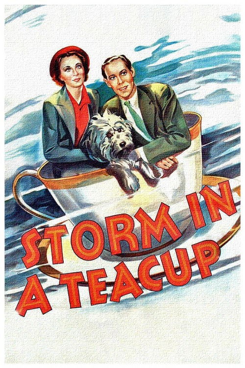 Movie poster for Storm in a Teacup (1937)