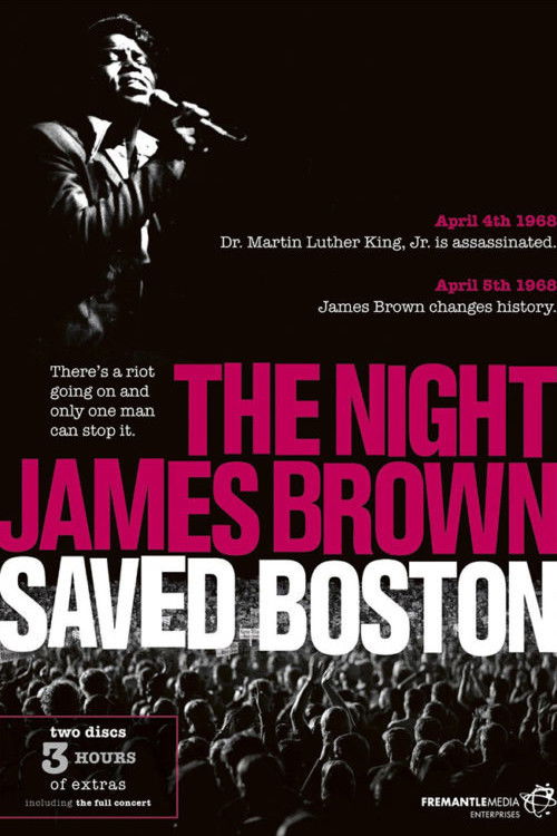 Movie poster for James Brown - The Night James Brown Saved Boston (2008)