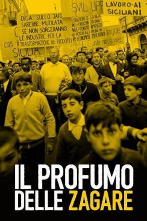 Movie poster for Il profumo delle zagare (2022)