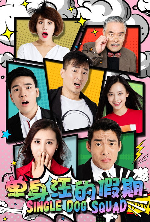 Movie poster for 单身汪的假期 (2017)