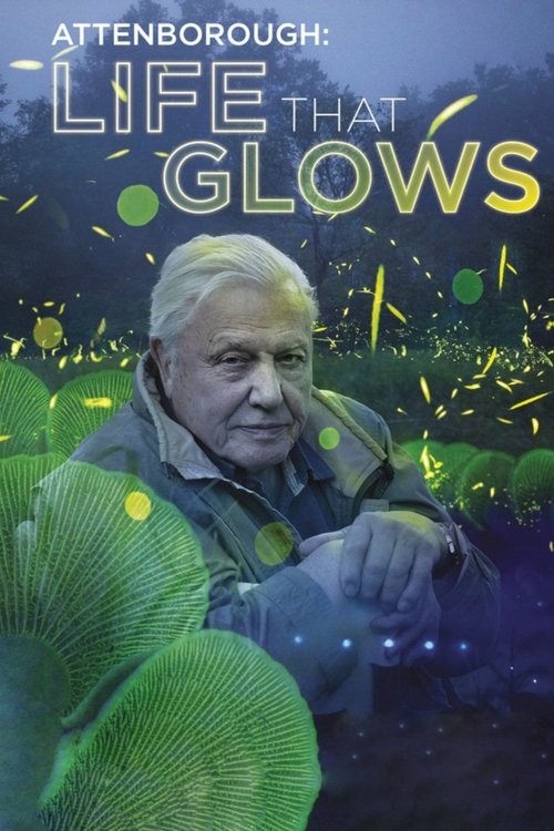 Movie poster for Attenborough's Life That Glows (2016)