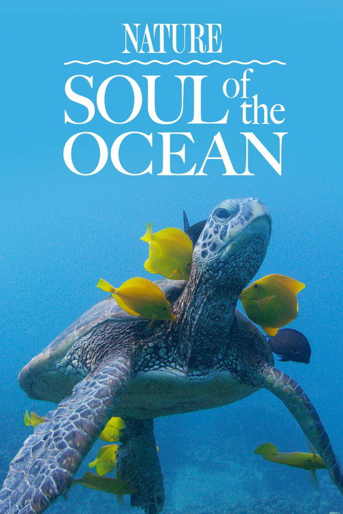 Movie poster for Soul of the Ocean (2022)