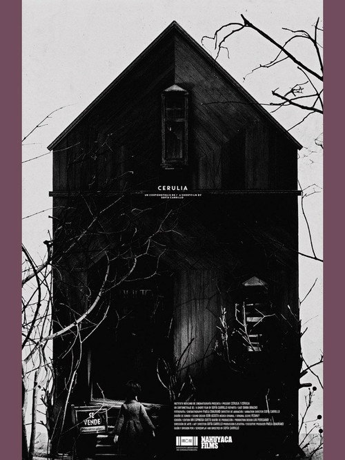 Movie poster for Cerulia (2017)