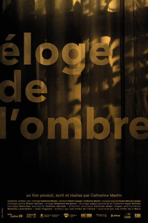 Movie poster for In Praise of Shadows (2024)