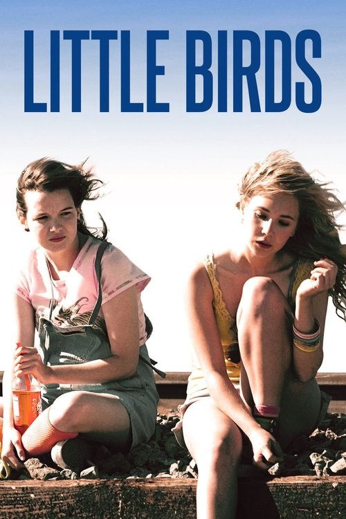 Movie poster for Little Birds (2011)
