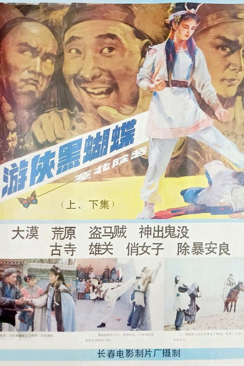 Movie poster for Warrioress Errant Hei Hudie (1988)