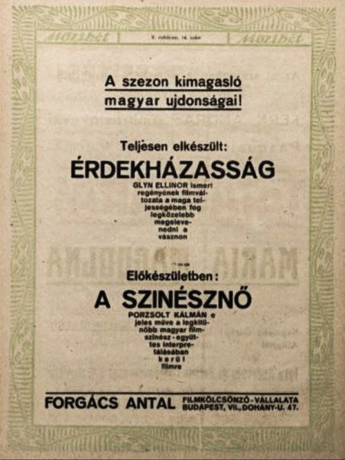 Movie poster for Érdekházasság (1919)