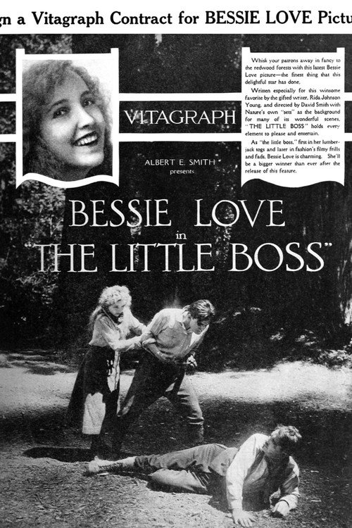 Movie poster for The Little Boss (1919)