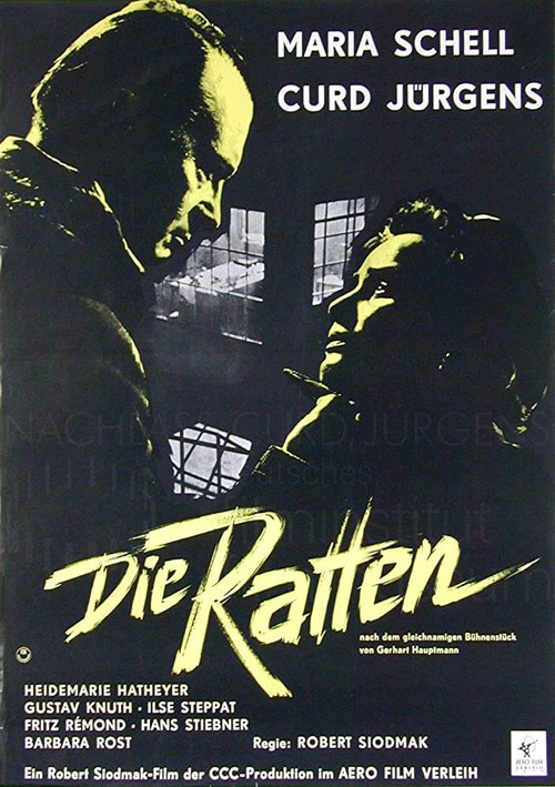 Movie poster for The Rats (1955)