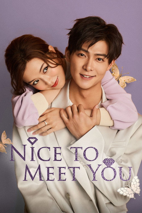 Series poster for Nice To Meet You (2019)