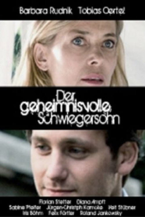 Movie poster for Der geheimnisvolle Schwiegersohn (2007)