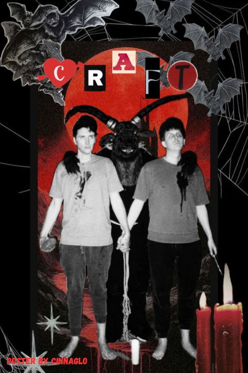 Movie poster for Dan and Phil Crafts (2015)