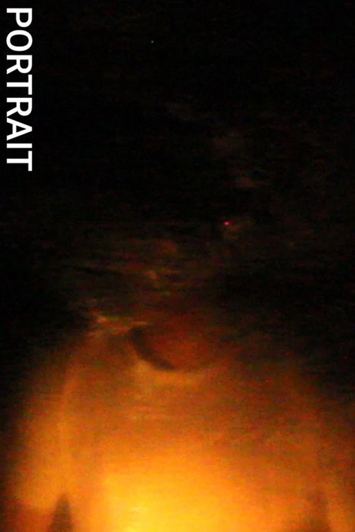 Movie poster for Portrait (2025)