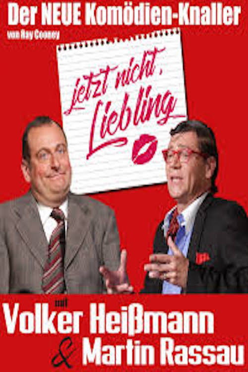 Movie poster for Jetzt nicht Liebling (2019)
