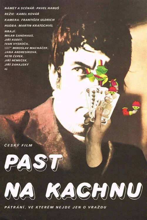 Movie poster for Past na kachnu (1978)