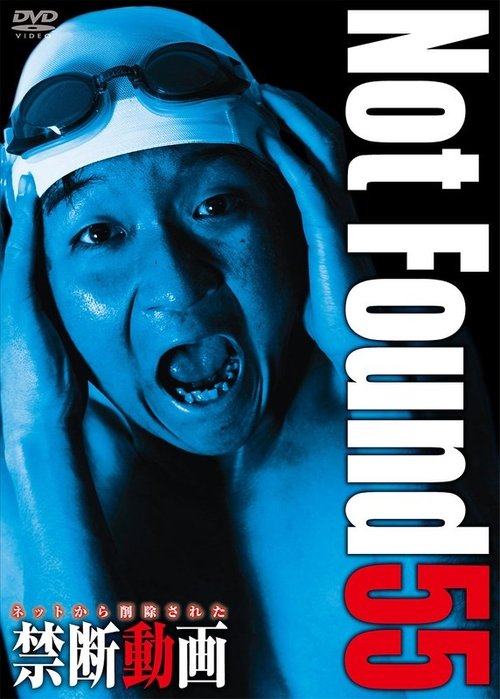 Movie poster for Not Found 55 (2025)