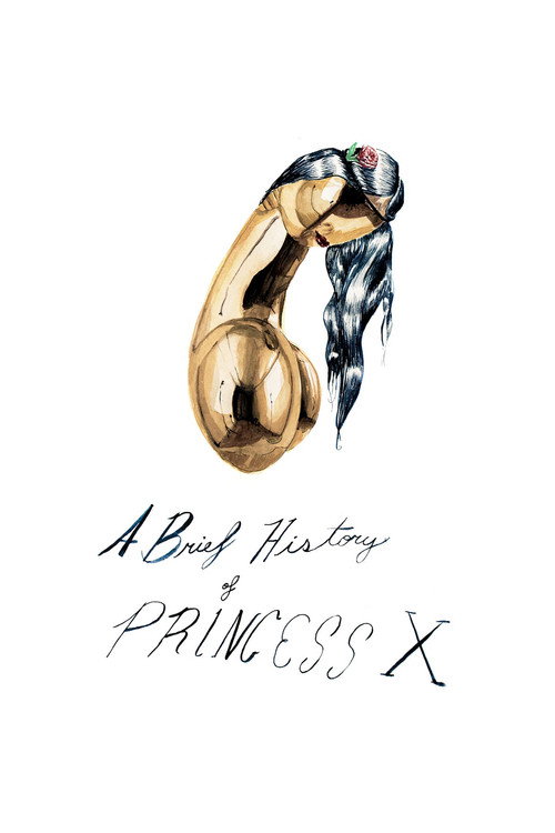 Movie poster for A Brief History of Princess X (2016)