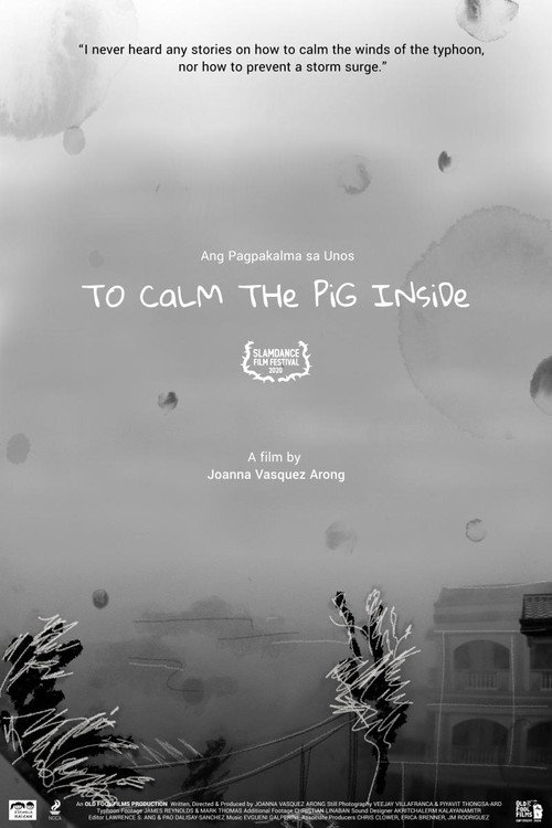 Movie poster for To Calm the Pig Inside (2020)