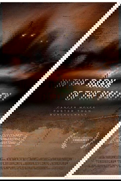 Movie poster for In the Dark of the Valley (2021)