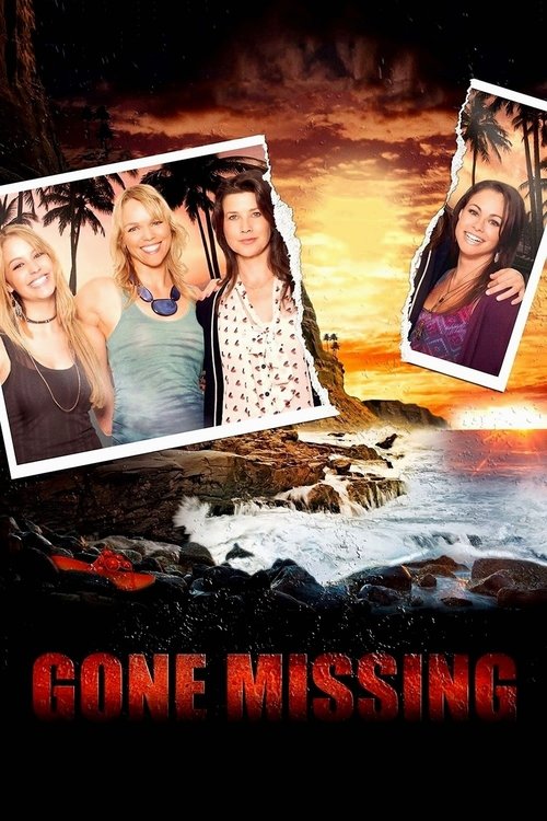 Movie poster for Gone Missing (2013)