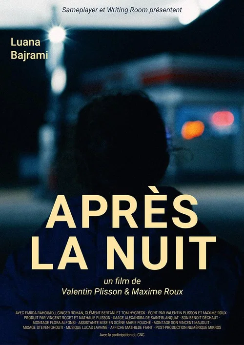 Movie poster for After the Night (2018)