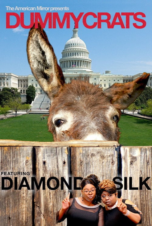 Movie poster for Dummycrats (2018)