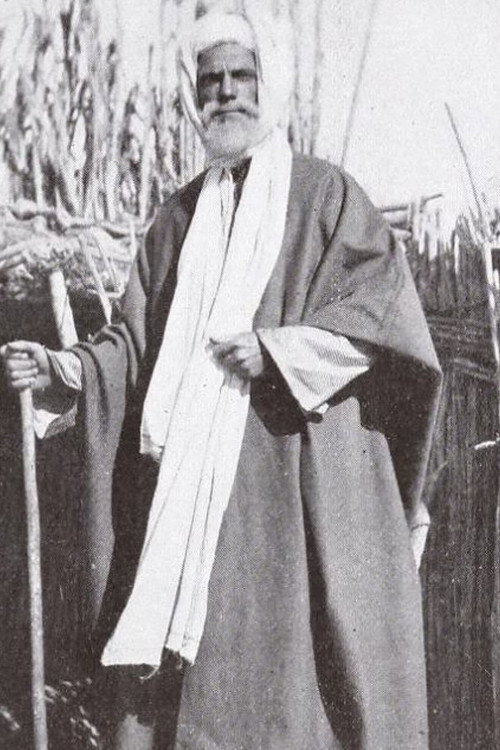 Movie poster for Dust of the Desert (1912)