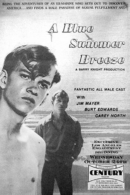 Movie poster for Blue Summer Breeze (1972)