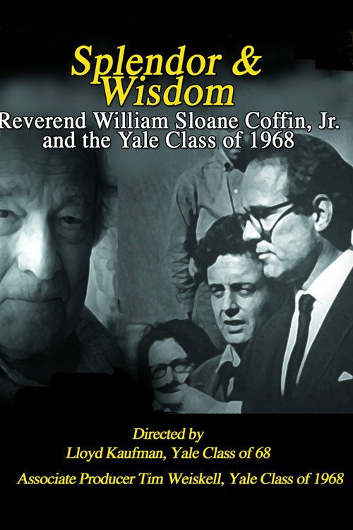 Movie poster for Splendor and Wisdom (2008)