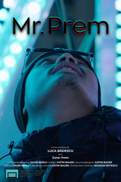 Movie poster for Mr. Prem