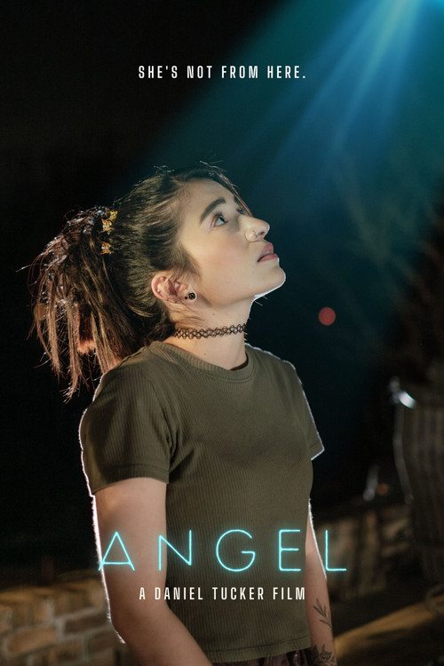 Movie poster for Angel