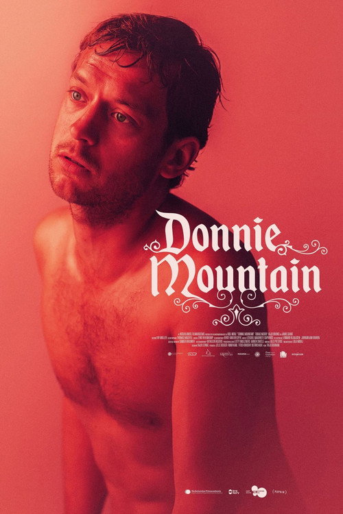 Movie poster for Donnie Mountain (2020)