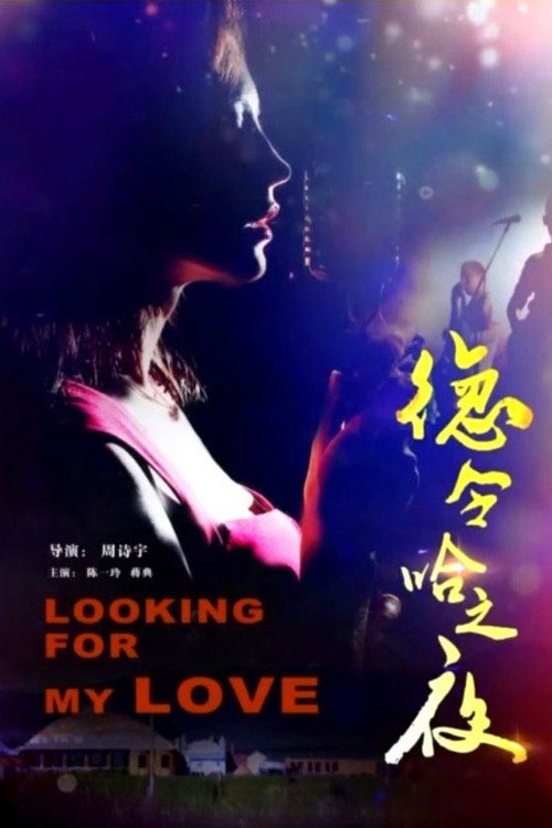 Movie poster for Delhi Night (2015)