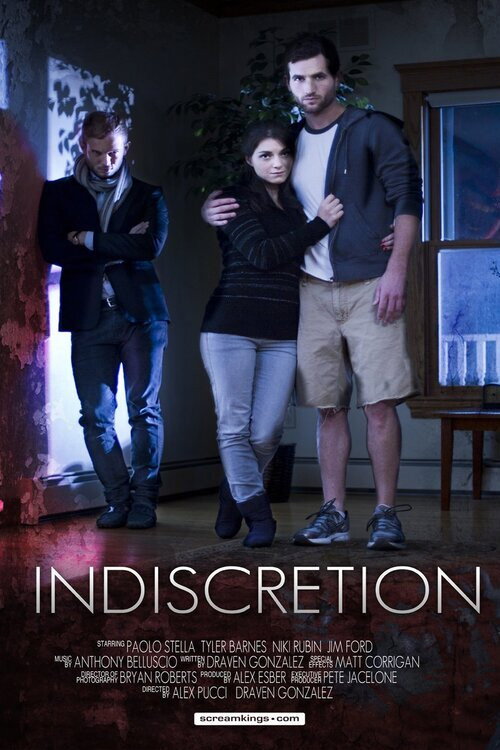 Movie poster for Indiscretion (2013)