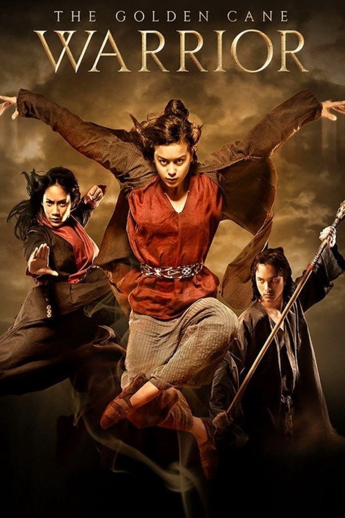 Movie poster for The Golden Cane Warrior (2014)