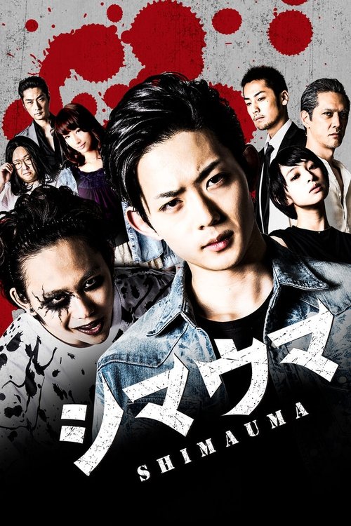 Movie poster for Zebra (2016)